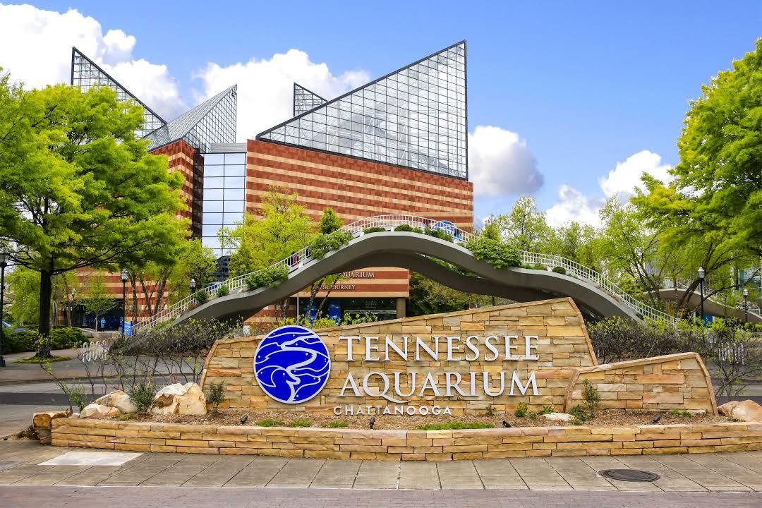 Tennessee Aquarium